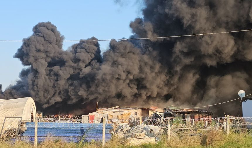 Tekirdağ'da geri dönüşüm tesisinde yangın: Dumanlar gökyüzünü kapladı