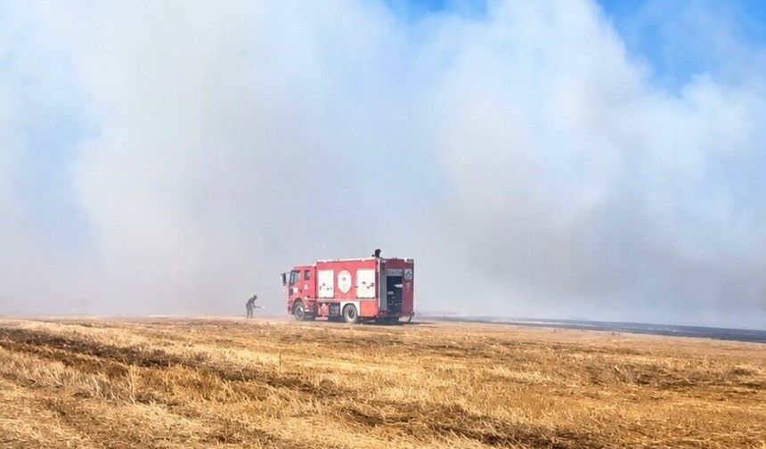 Tekirdağ'da anız yangını