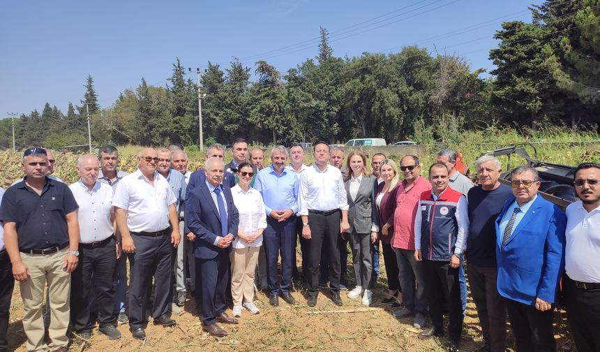Tarım ve Orman Bakan Yardımcısı Gizligider Edirne'de ayçiçeği hasadına katıldı