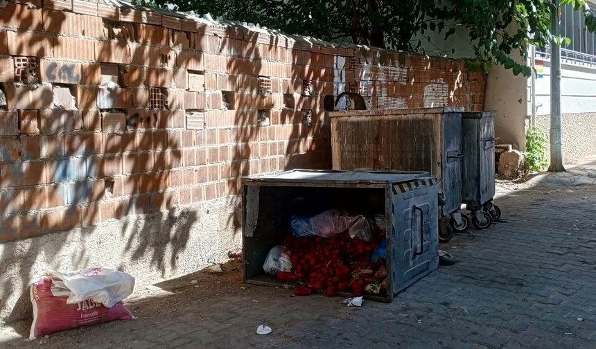 Devrilen Konteynerden Kilolarca Sebze Çıktı