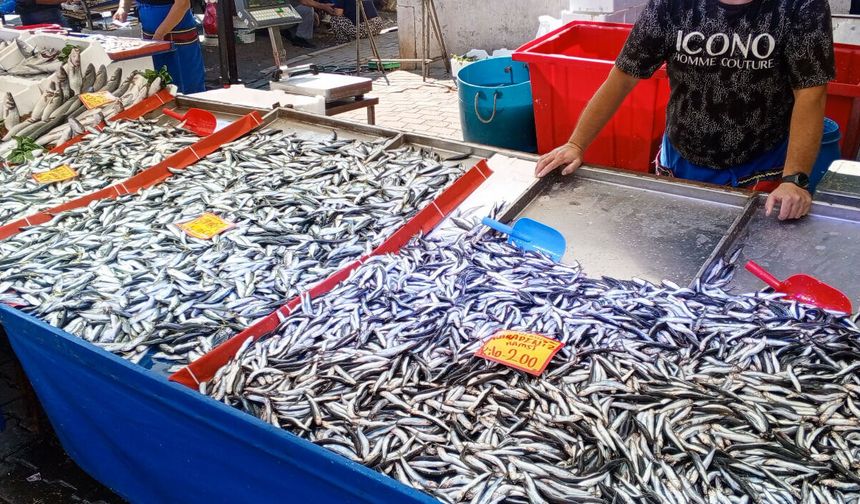 Balık Tezgahlarında Hareketlilik Başladı