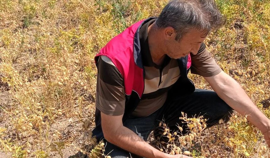 Babaeski’de Biçerdöver Denetimleri Sürüyor
