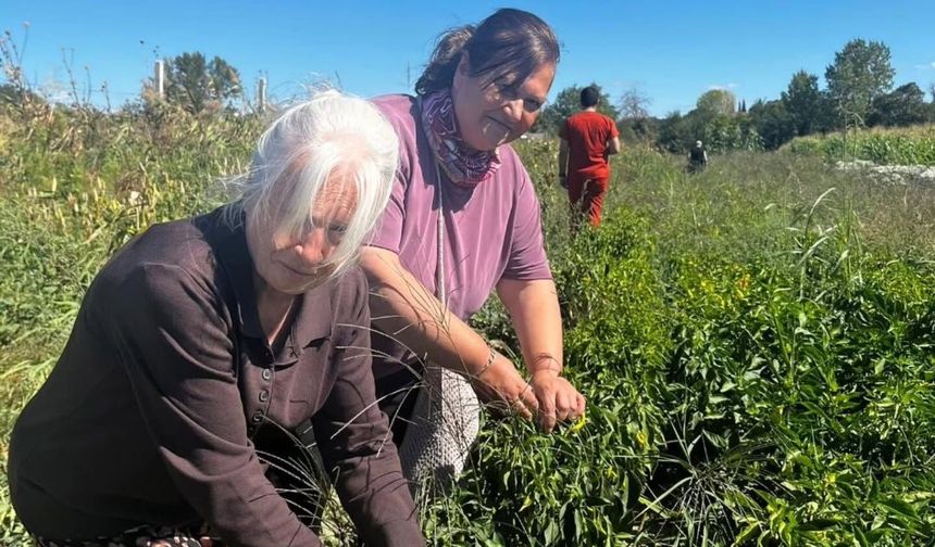 Huzurevi Sakinleri Celaliye’de Sevdikleriyle Buluştu