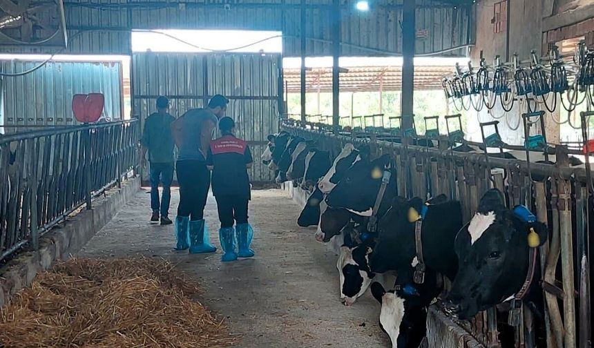 Pınarhisar’da Hayvancılık İşletmelerine Düzenli Denetim