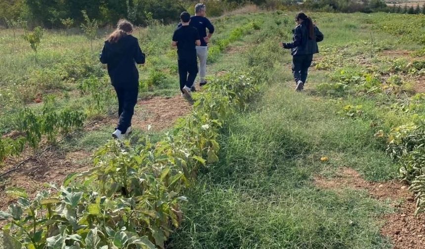 Kırklareli’nde Çocuklar Tarladan Sofraya Üretimi Öğrendi
