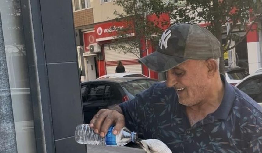 Tekirdağ'da bitkin düşen martı kolunu ısırdı şefkatini eksik etmedi