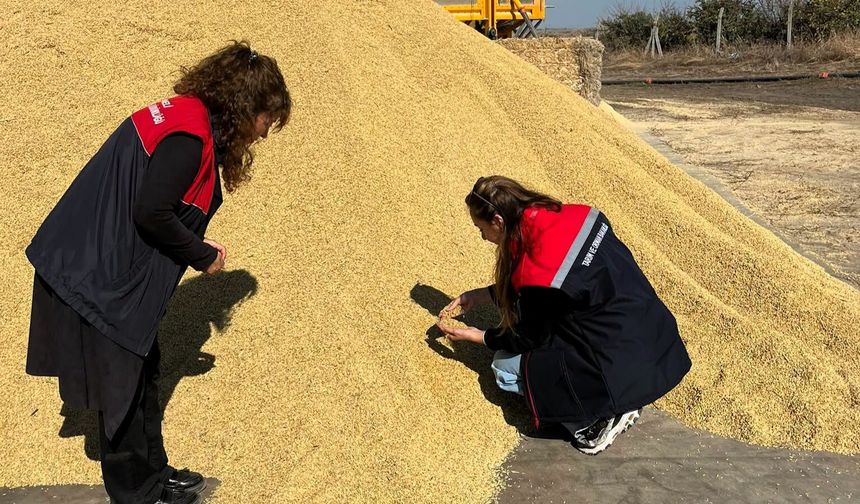 Lüleburgaz’da Çeltik Hasadı ve Kurutma Çalışmaları Denetlendi