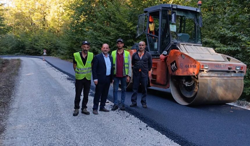 Yeşilce-Hamdibey Yolunda Sıcak Asfalt Çalışması