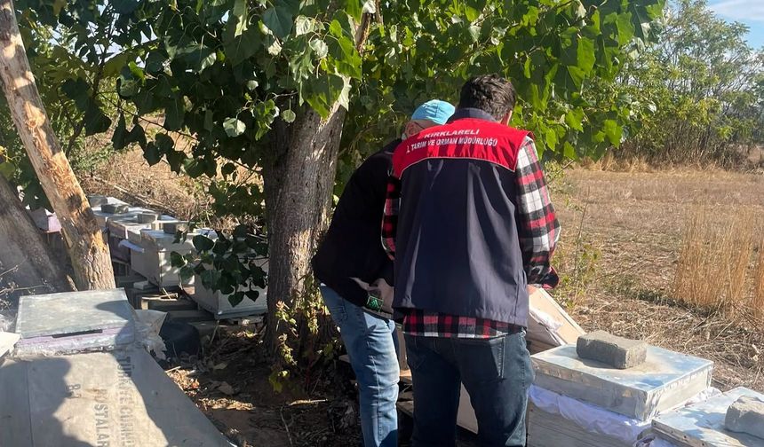 Pehlivanköy’de Arılı Kovan Tespit Çalışmaları Sürüyor