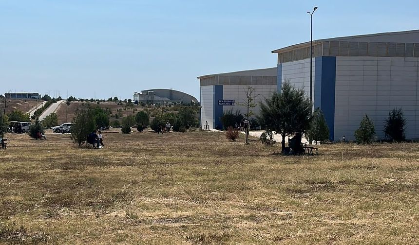 Hareketlilik Artıyor