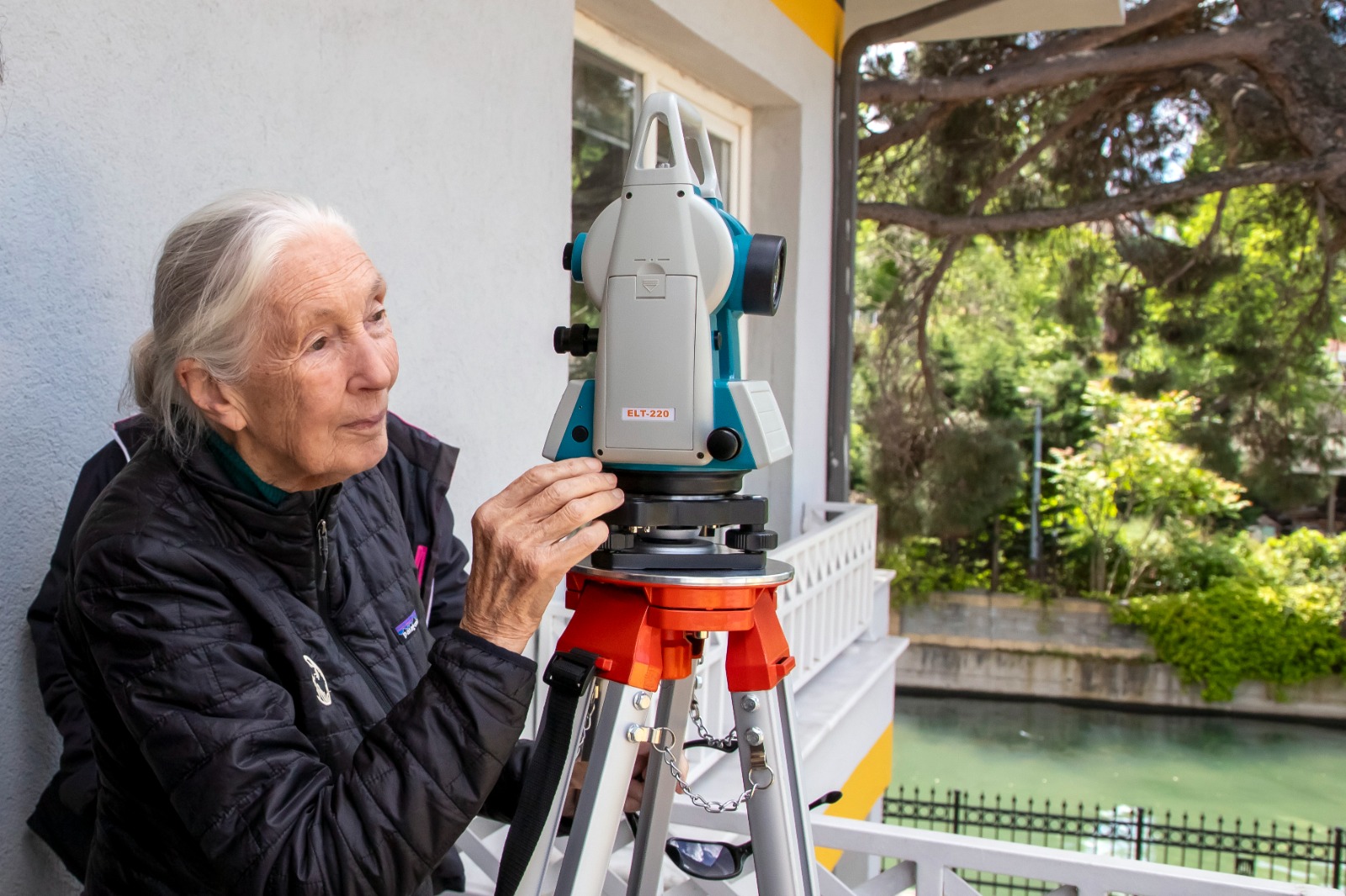 Jane Goodall Istanbulun Yunuslari Cubuklu 1