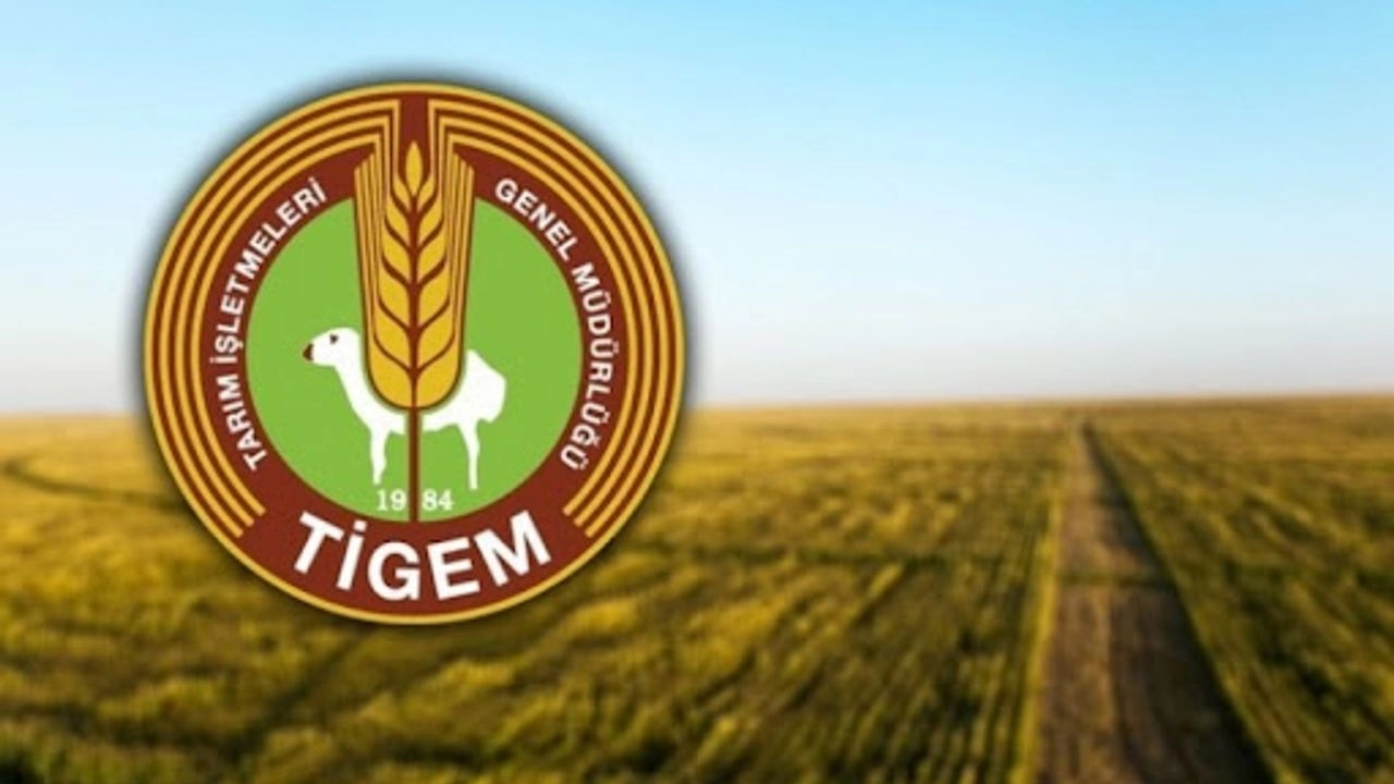 TARIM İŞLETMELERİ GENEL MÜDÜRLÜĞÜ(TIGEM)