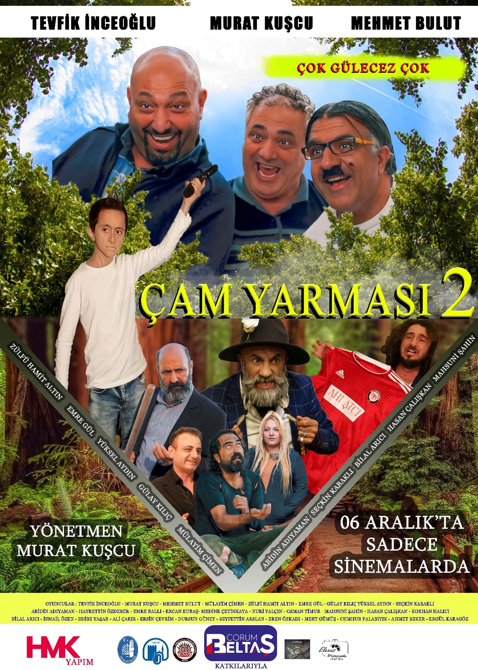 Çam Yamasi 2 Afi̇ş