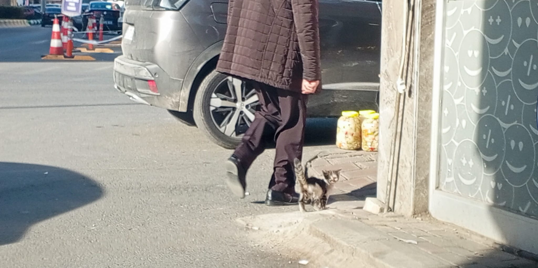 84B77A38 C4C8 4D31 A7C2 340C424A7D74