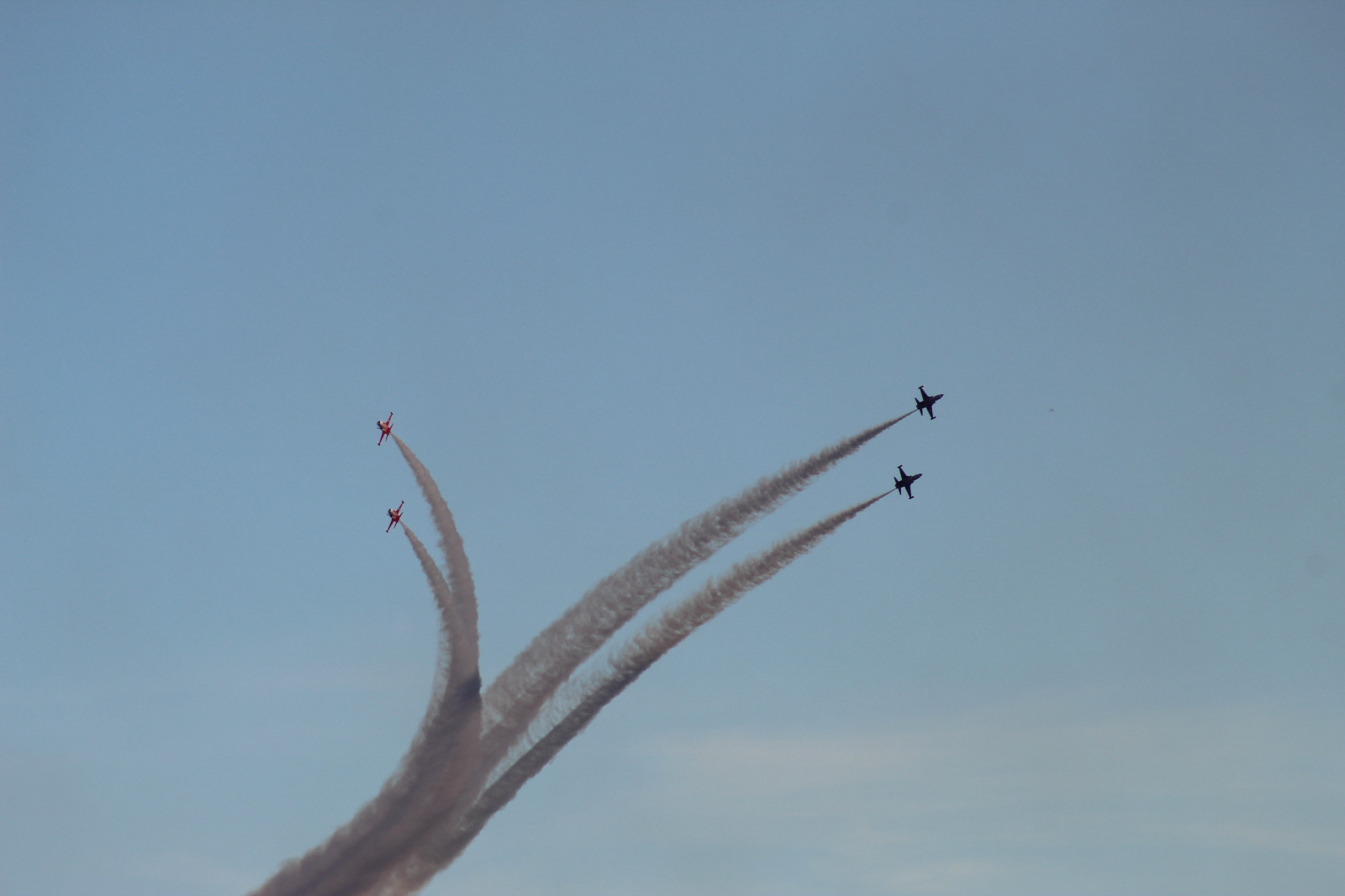 B674Aed6 Cac5 4E9F Bb65 34B6Ff403C90