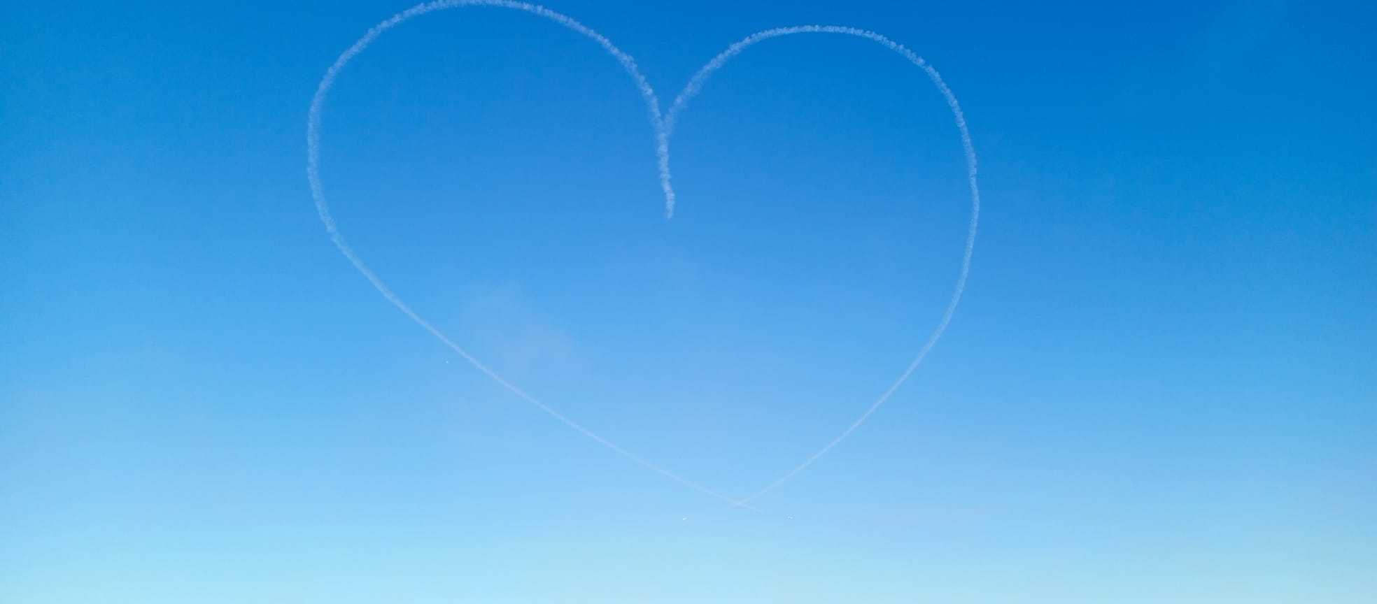 C5Ada307 4Ad4 4566 91Db Ea70Cdd0788A