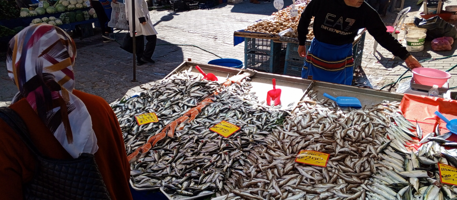 2664A550 81D8 4A94 A138 79E873Bd06B2