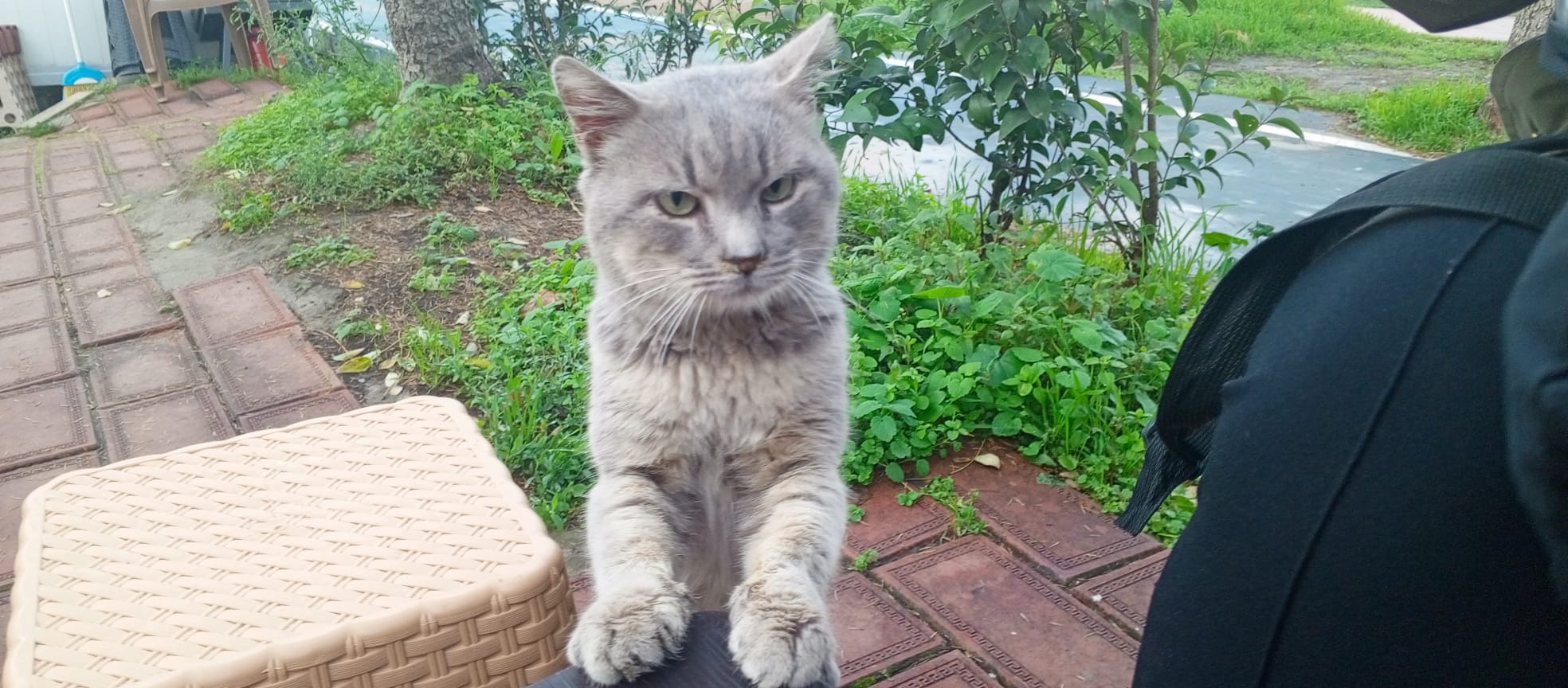 30Db9884 0548 4A0F 9F43 97331Ec287Fc