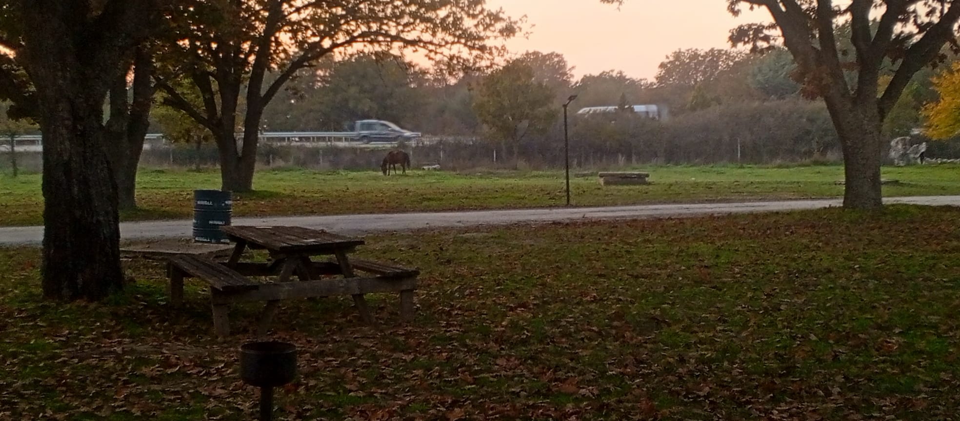 3F5Af1A3 F200 48D3 86Fd F2A16D718Ba4