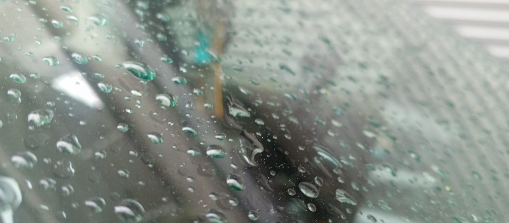 5F5713Ee 9294 4A1E 9D70 Cef3E71Cf333