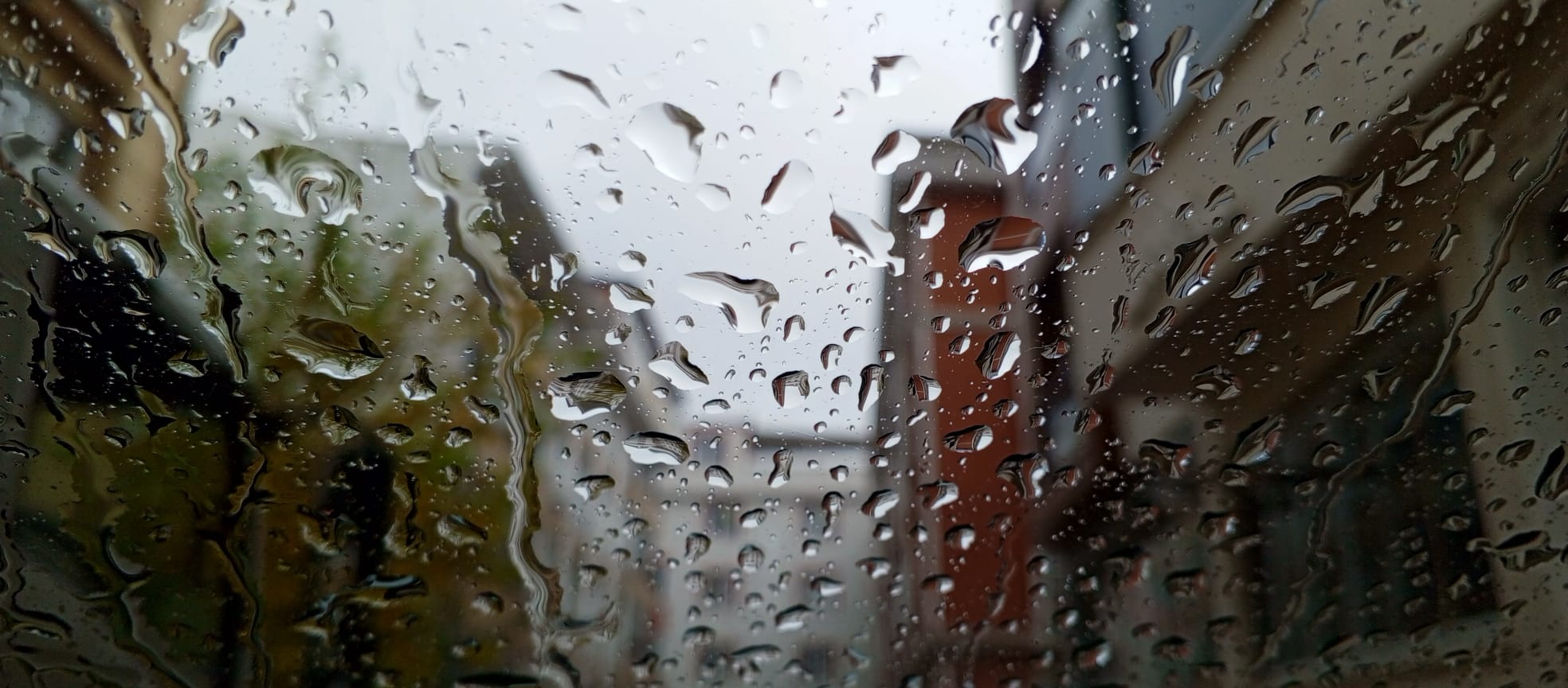 894C4244 E463 4Bb0 875A C8Cb8185Bb96