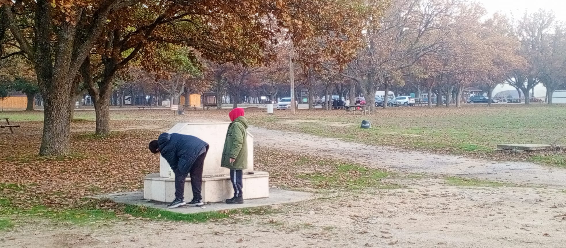 A7D2B378 C313 4996 835F 49F73F2806Fa