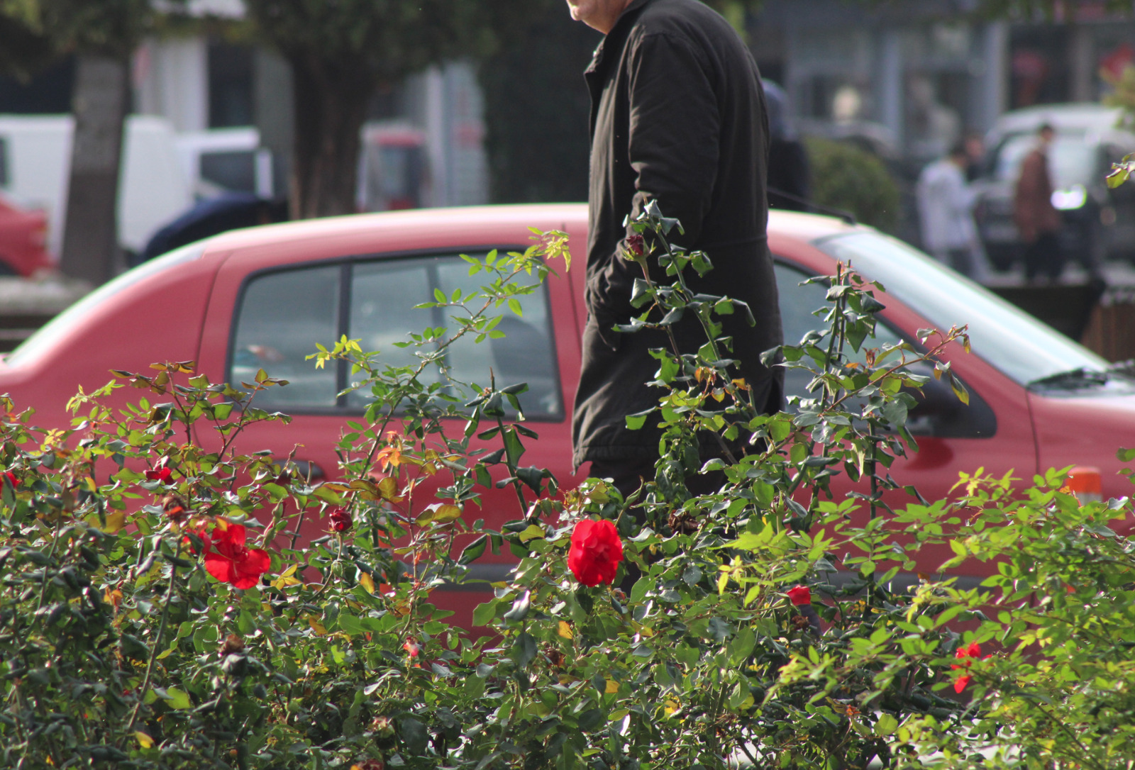 B2Cfd3C1 Ee66 4C20 A6Ea 947163B2Cbd8