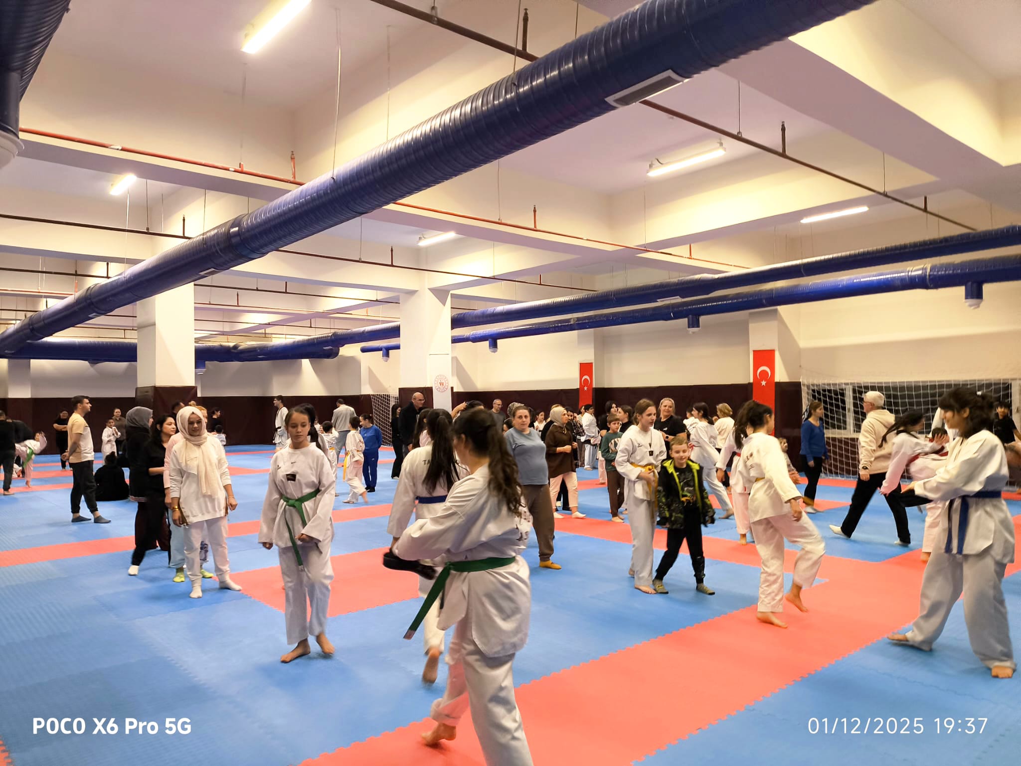 5043Ea34 D1E2 4D7B B540 E1Eb1Eed98E5