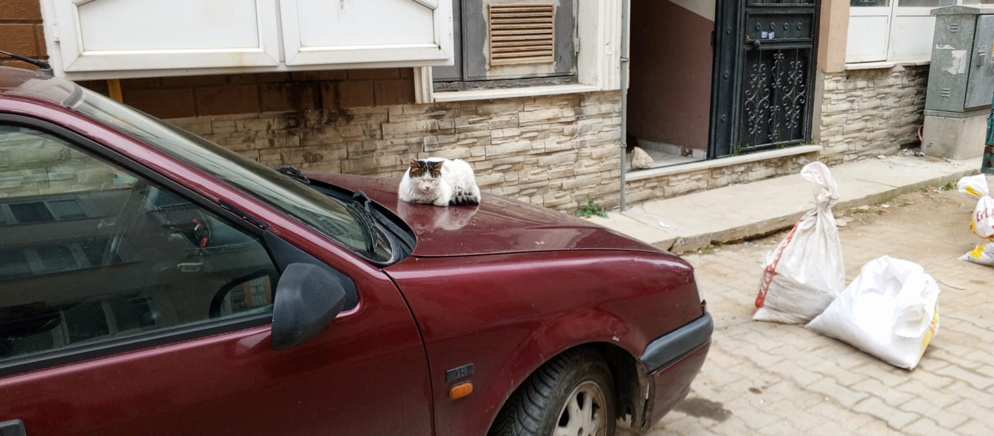 Dafa28F9 8259 44C5 9566 Bd8D96Cf4B72