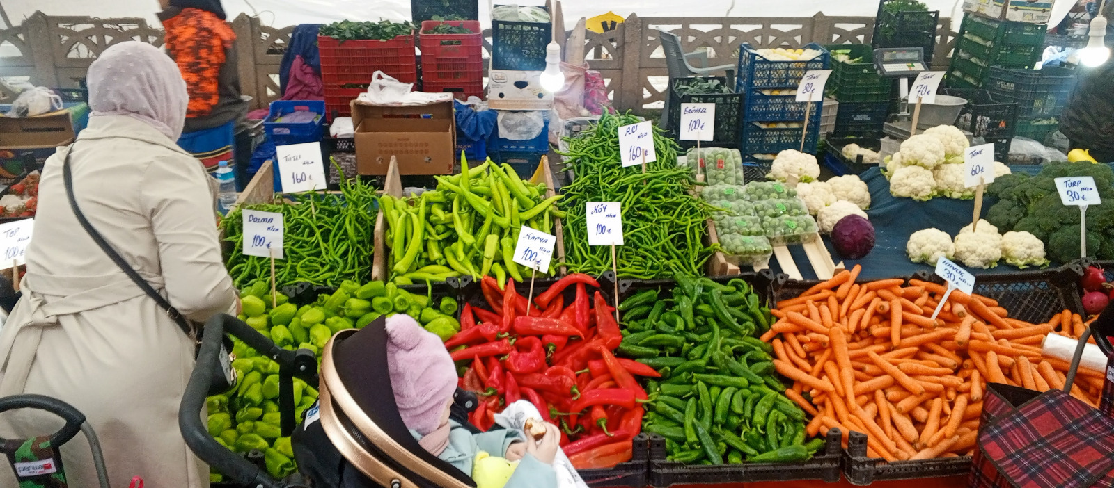 050D885D C8Db 4B15 Bb92 7Ad607A89313