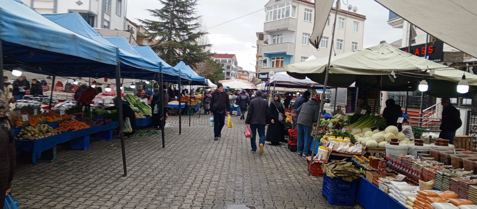 48497850 D6F8 4Eb7 B406 458945A8A4F5