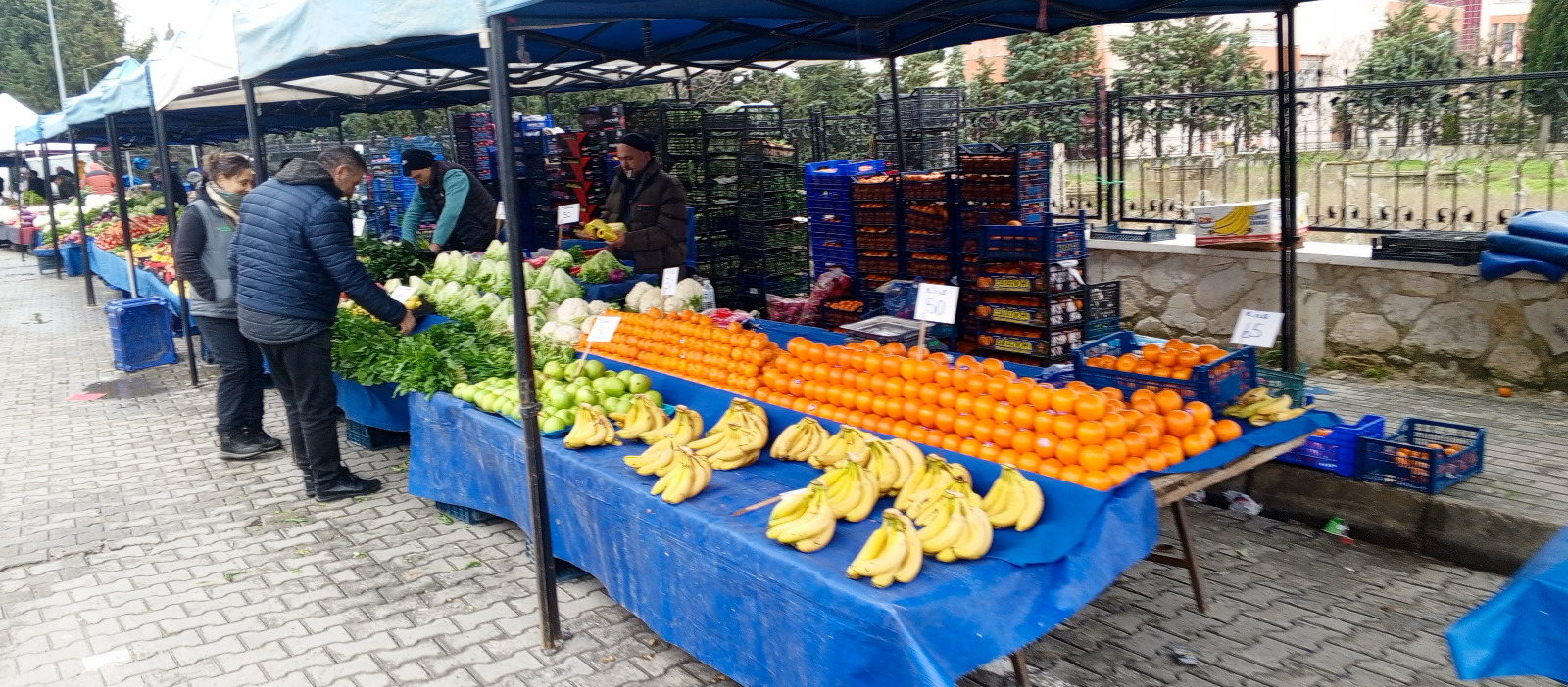 57A6C70D A9C2 409E 84Bf 7Ae4Efc9E92A