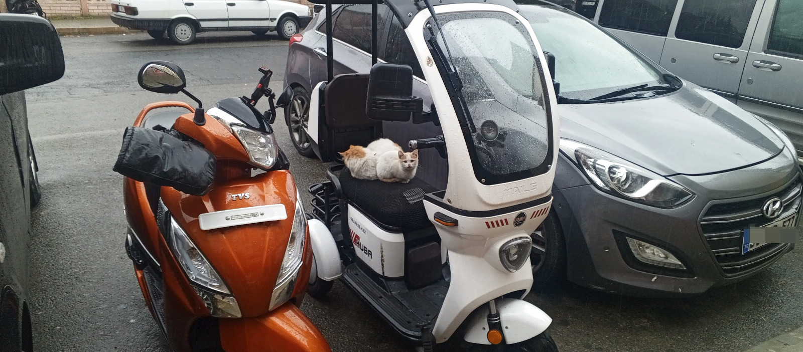 5Bb748E2 4C99 44C9 8Bc5 7542Df1Fde3F-1