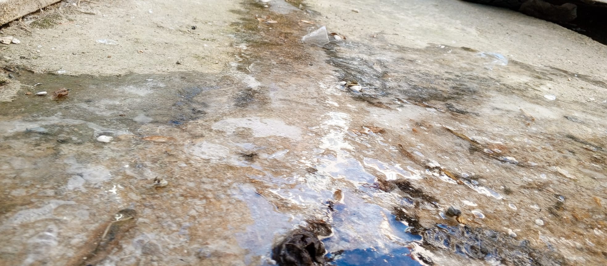 7A7Cfb67 4B8E 4C1A A494 Ad55Ee4Ddd2C