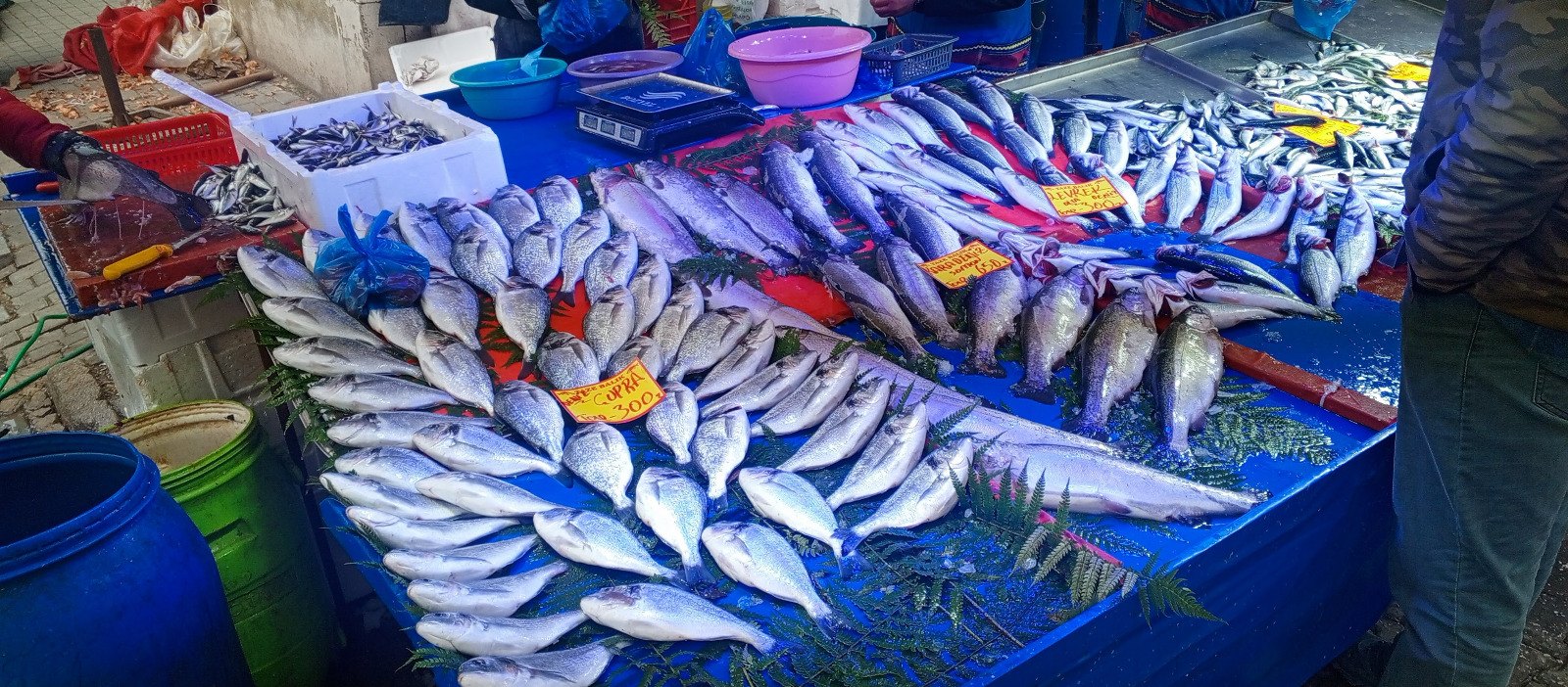 7D0533C6 194D 41Ca A5E2 1D5815E52548