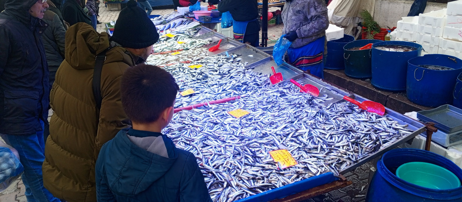 7F1C3795 9Ebc 4F7F 96Ba F7D777964037