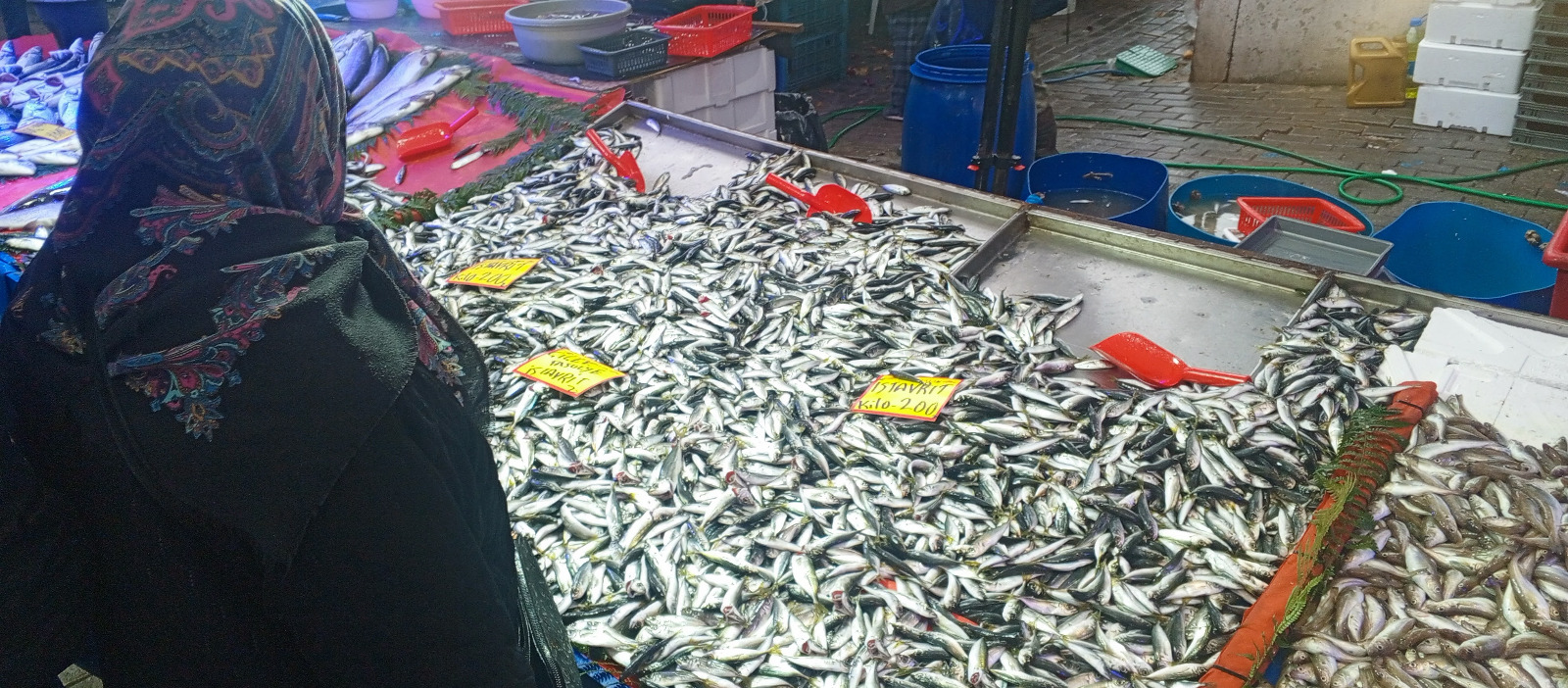 864Ba70C A28B 455D 9177 4E40708A5C67