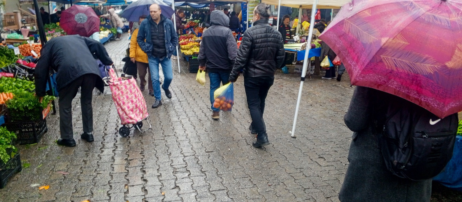 8D7D2Ac3 708C 4615 81C3 530Bae3Acb1C