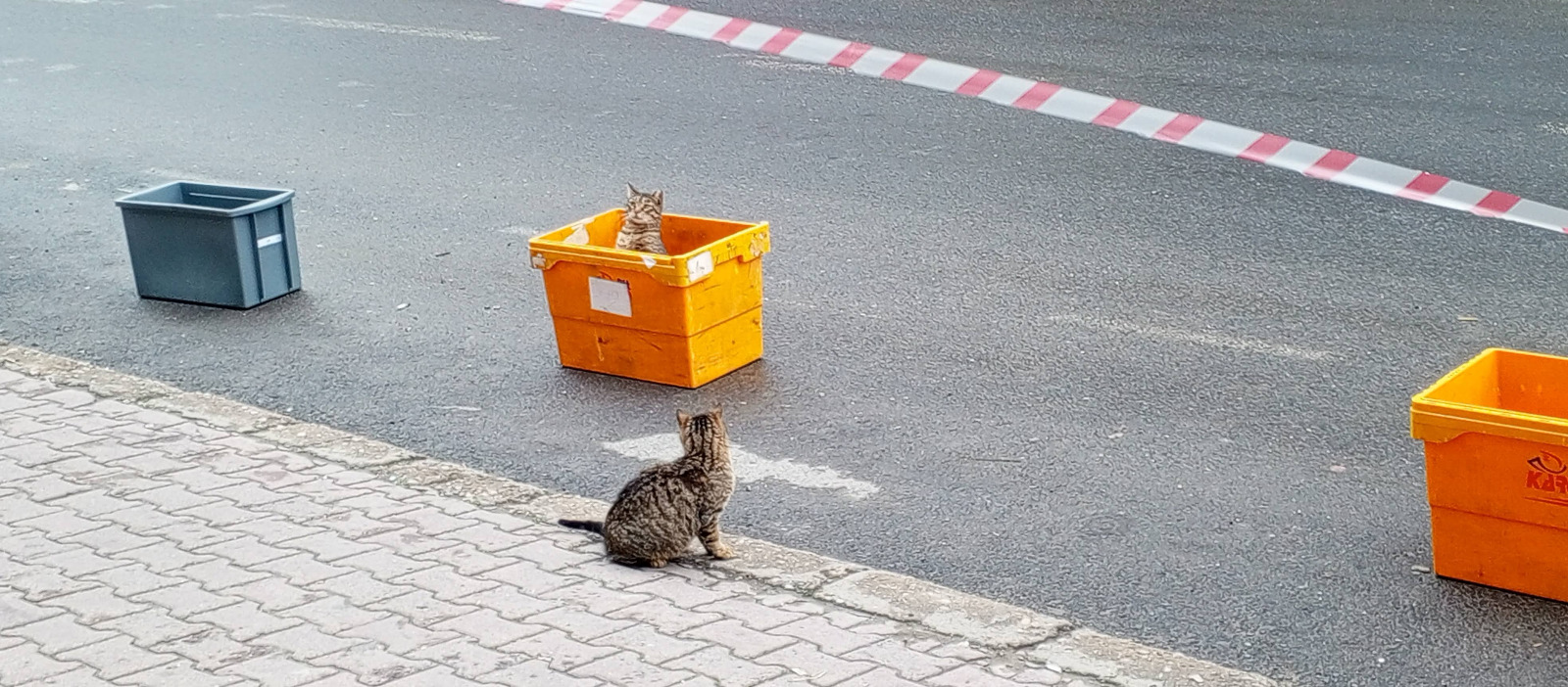 A33C4A2D A31B 4743 88C3 1E1B6Fbdc8C2