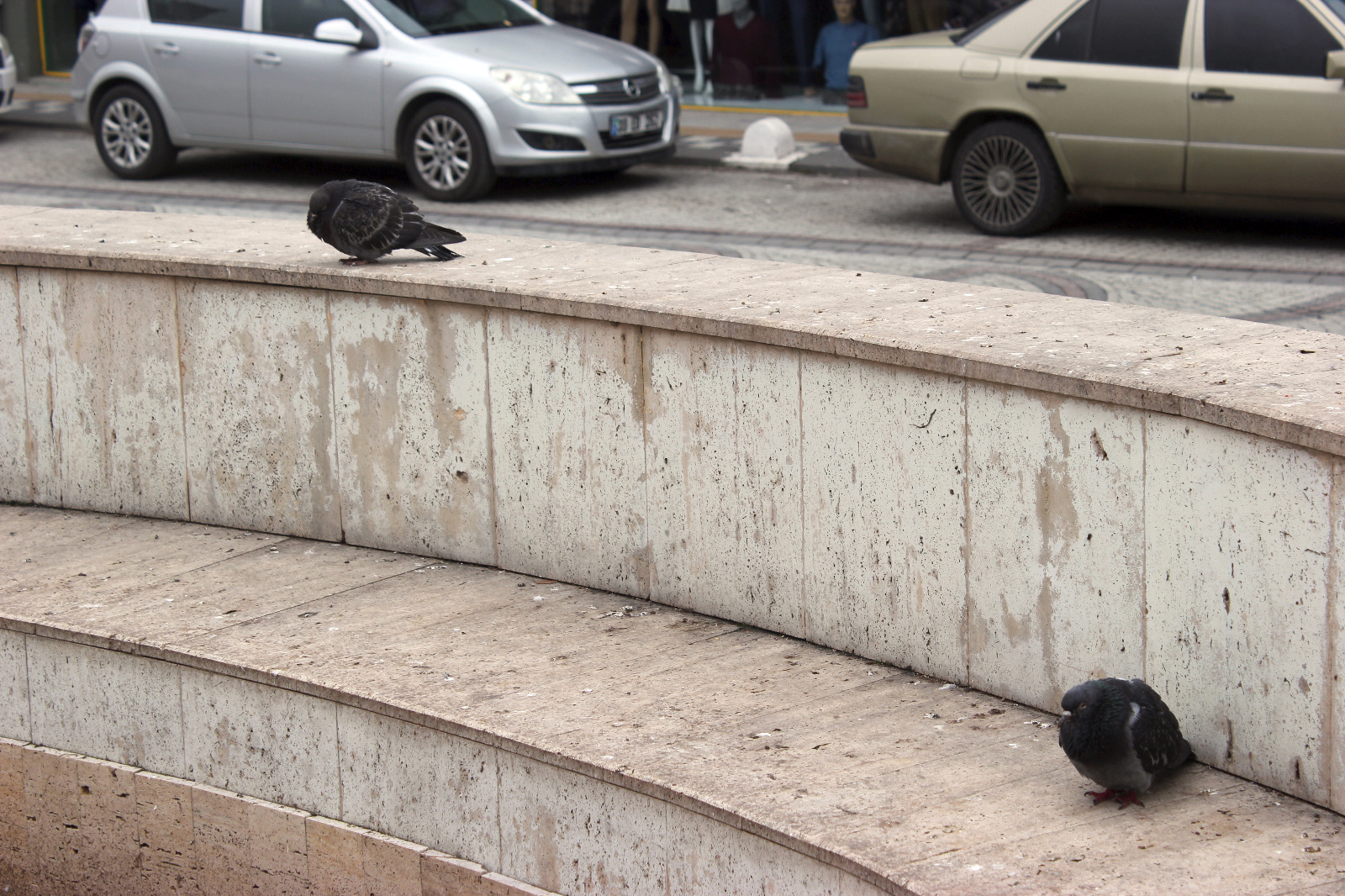 B1Cd8Fc1 9B06 4105 B1F6 Af0C75E4Cc31