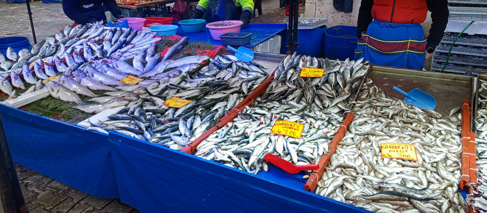 Ba5F3Dc3 4E58 4843 9A69 Fc598B63349A