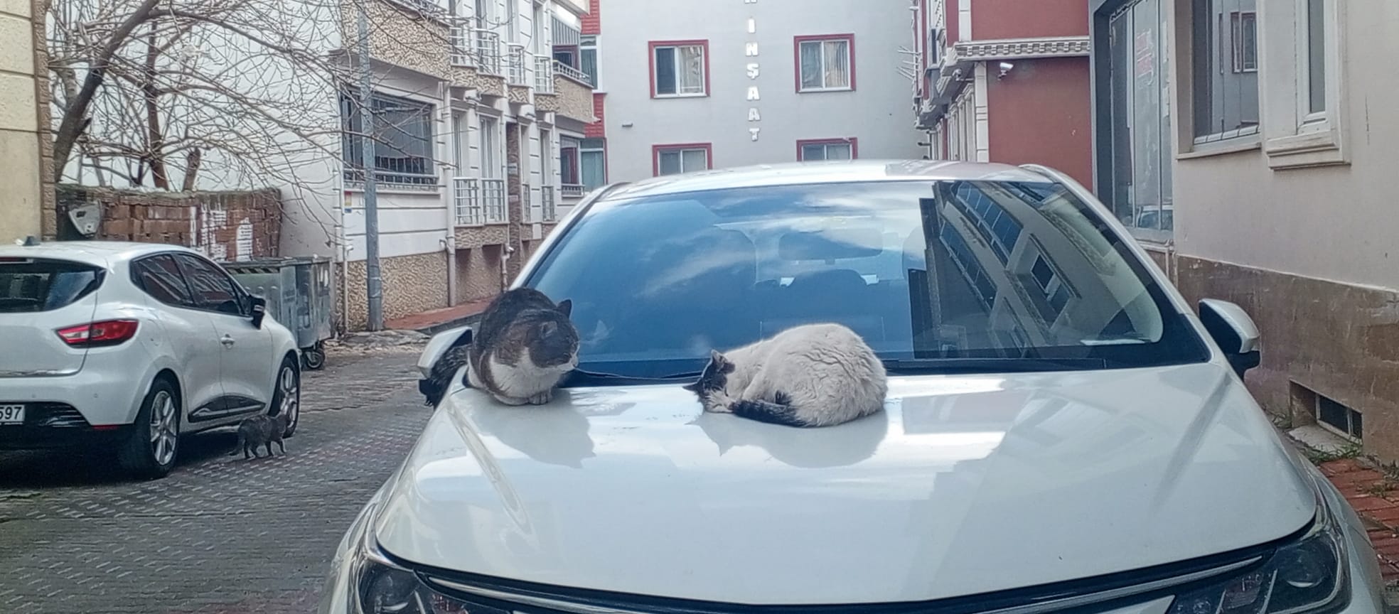 F3161Ed0 66A6 4D6A Aab4 6A5F8Dd6794C