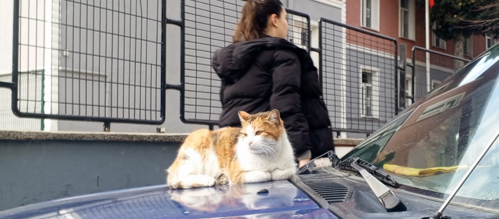 F9207B2E 0Fff 4D69 B1Ed A16086782539-1