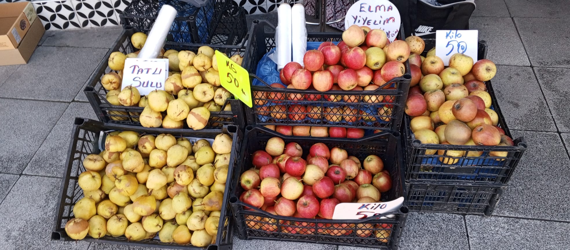 4F5Dfed2 9238 4F81 Aae1 E0A544B78D47