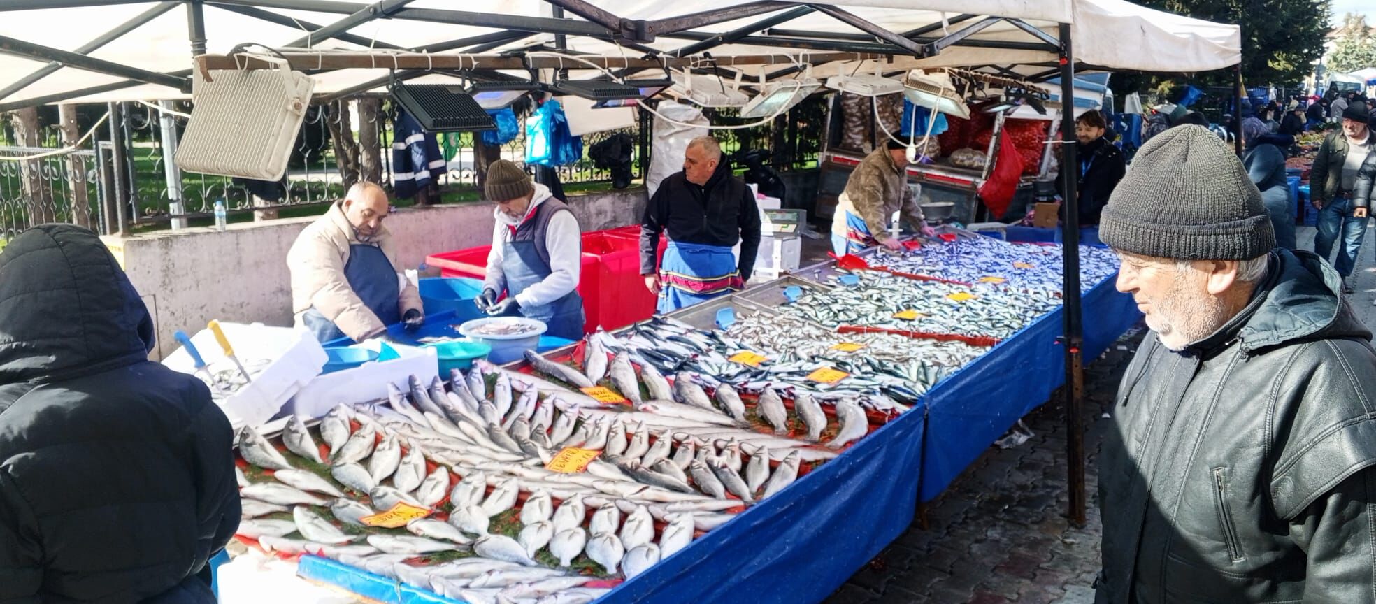 60C25Dc7 6971 42D2 8Eb5 1E8A64F38448