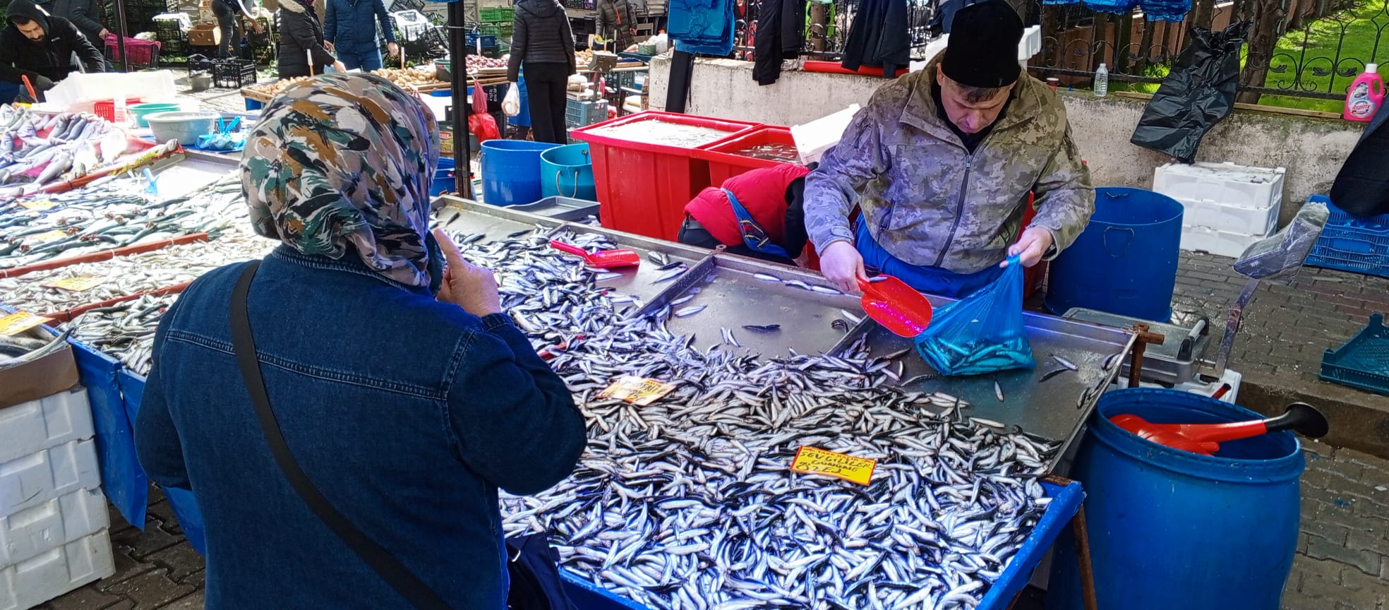 71484Fad Ed17 45Ae A0Ee 2F05343Aefb7