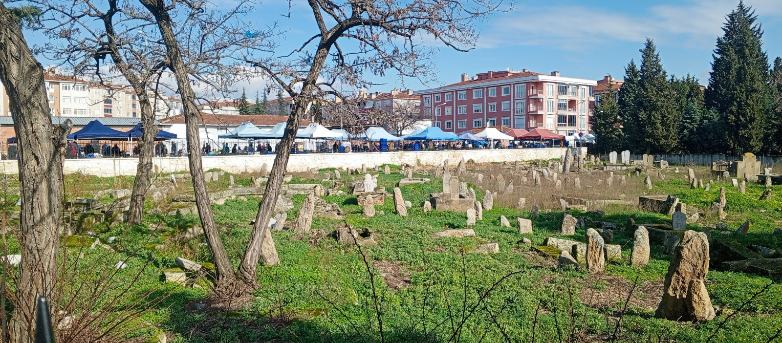 Da5E3380 4C32 4F3A 99Fe 40139Bebd1D4