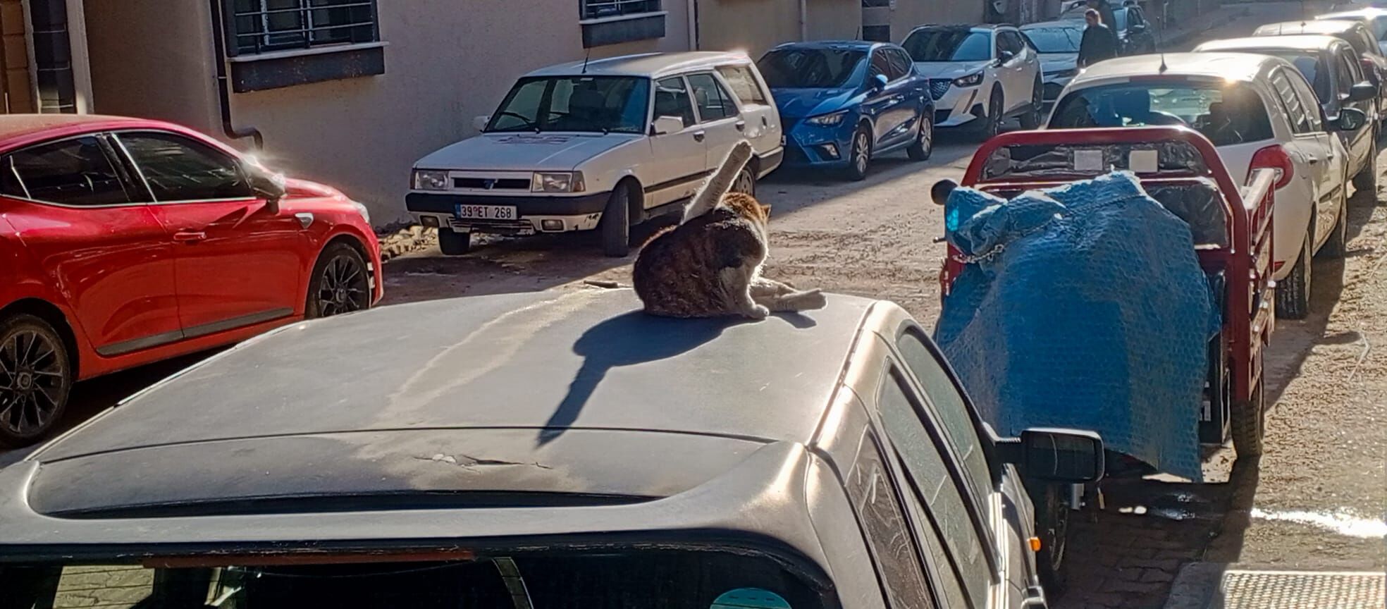 0D941Cbd 52Cd 447E 92C8 B7Feebb31F96