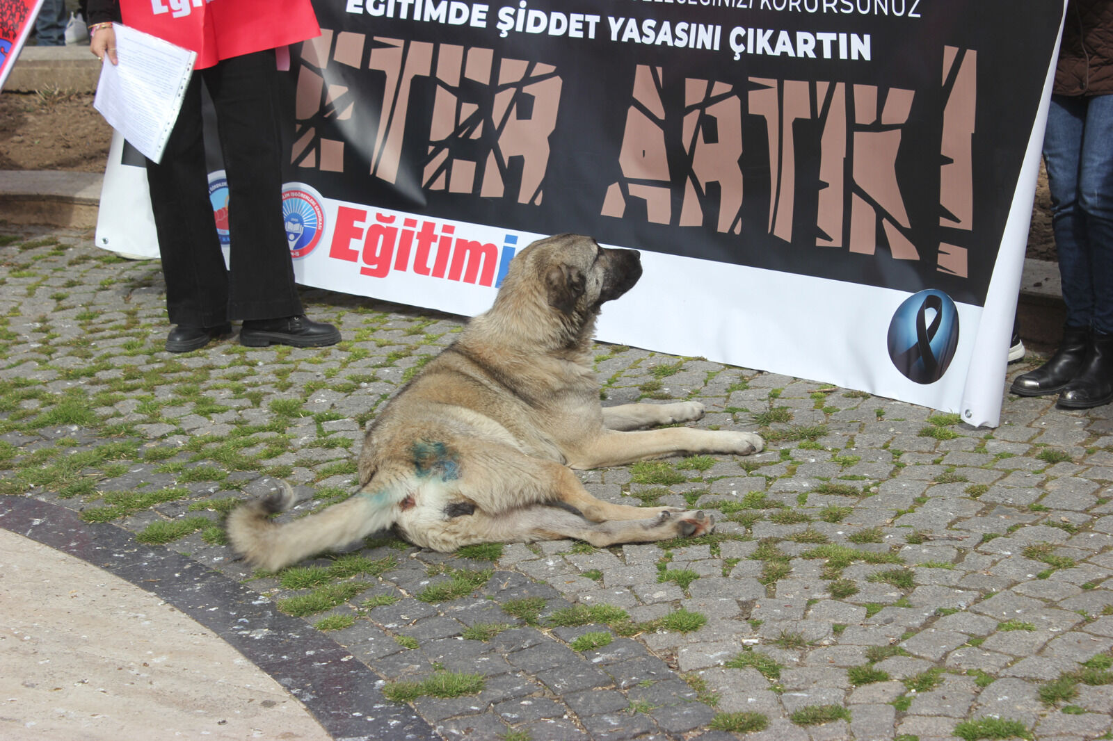 1De00F98 8019 4326 B406 945B5F23A612