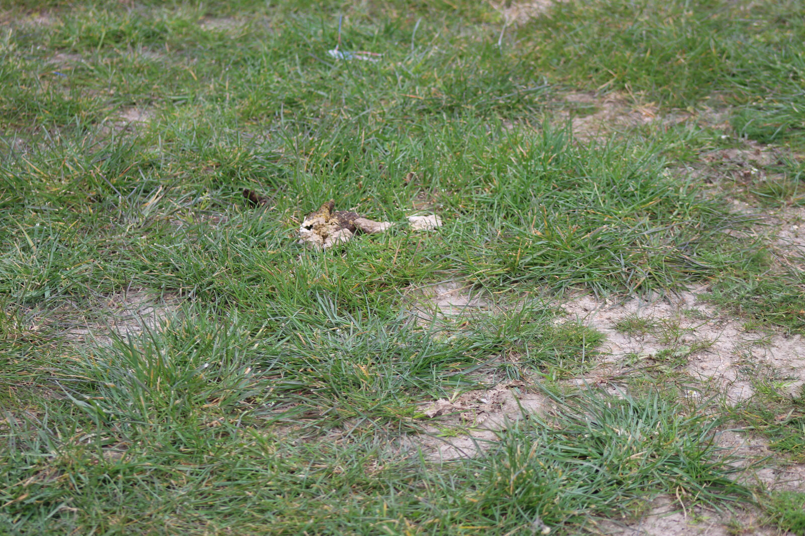 35F32582 F4B0 4B2F Ab78 352D2Ec3Bdad